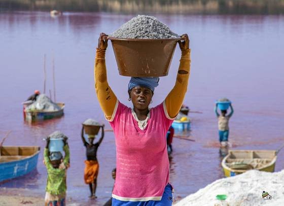 Femme portant une charge sur la tête devant une eau rosée